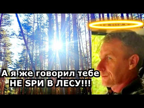 Видео: ПРОТОКОЛ ЗА ПРОГУЛКУ ПО ЛЕСУ!!! БЕСПРЕДЕЛ ЛЕСНИКА!!!