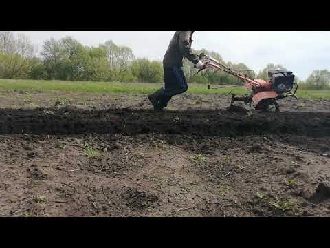 Видео: Как настроить плуг для мотоблока Весенняя вспашка