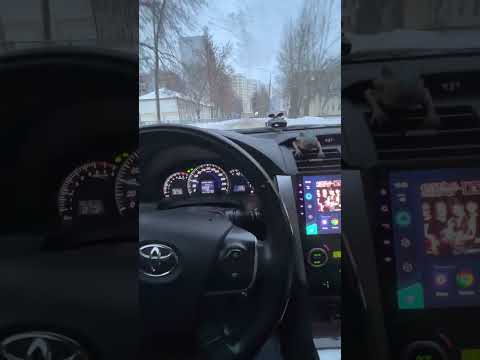 Видео: Отзыв владельца камри 50 двигатель 2,5