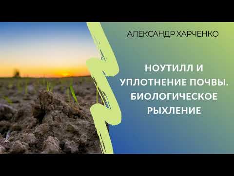 Видео: Ноутилл и уплотнение почвы. Биологическое рыхление