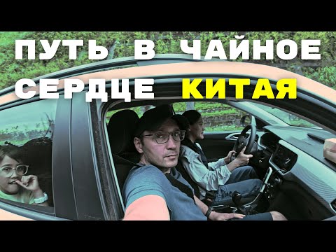 Видео: Дорога к древним чайным лесам | Цзиньмай