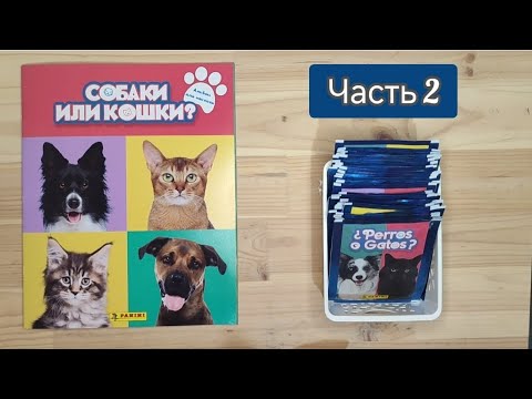 Видео: "Собаки или кошки: часть 2. Собираем коллекцию наклеек