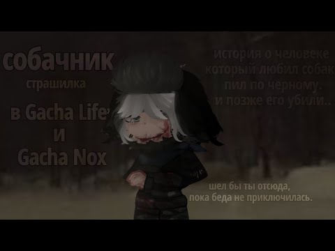 Видео: ☠️страшилка «СОБАЧНИК» Gacha life/Nox☠️ автор в описание