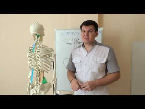Видео: Боль в пояснице. Спазм и слабость квадратной мышцы поясницы.