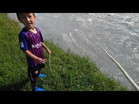 Видео: Жергетал