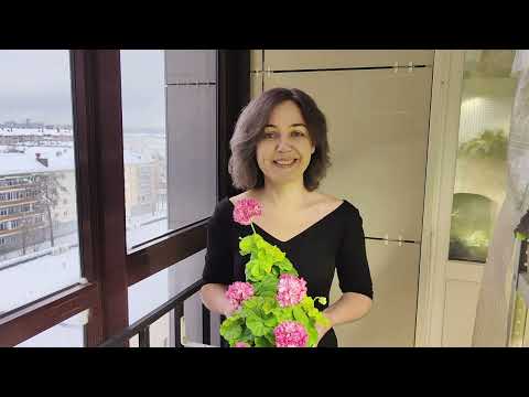 Видео: Эстафета!