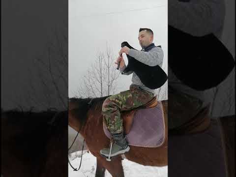 Видео: Един прекрасен ден в Родопите 😍🇧🇬🐴