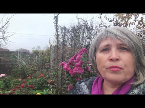 Видео: 🏵️Дніпро. Знімаю стрес, відновлююсь квітами!🪻🌼