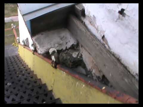 Видео: Забайкалье. Цугол и Зугалай