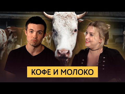 Видео: Кофе и молоко | Виды обработки молока, какое выбрать. Можно ли кофе с молоком. Безлактозное молоко.