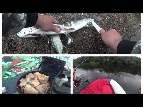 Видео: СПЛАВ С НОЧЕВОЙ. ОДИН НА РЕКЕ .ПОЙМАЛ ЧЕТЫРЕ ВИДА РЫБЫ. ЖАРИМ РЫБУ ВАРИМ ЧАЙ.