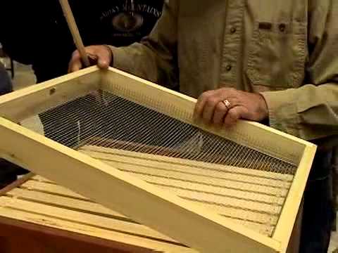 Видео: Сделайте конфетную доску для зимующих медоносных пчел