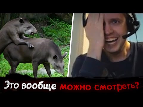 Видео: Лучшие видосы с Папичем ЗА ВСЕ ВРЕМЯ | Часть 1