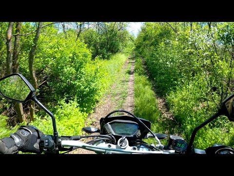 Видео: Поехал разведать дорогу к ставкам на LONCIN LX300GY