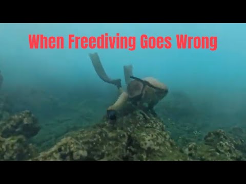 Видео: Фридайвинг на пляже Алана Дэвиса