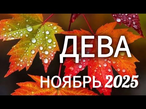 Видео: 🔴ДЕВА♍️ НОЯБРЬ 2025🔥ТАРО ПРОГНОЗ/ГОРОСКОП от ANOLI PPEL