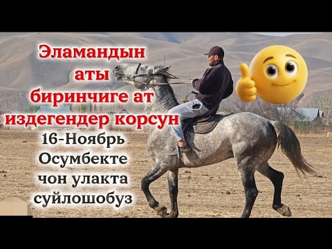 Видео: Ачыдан чыкты алдына ат издегендерге 