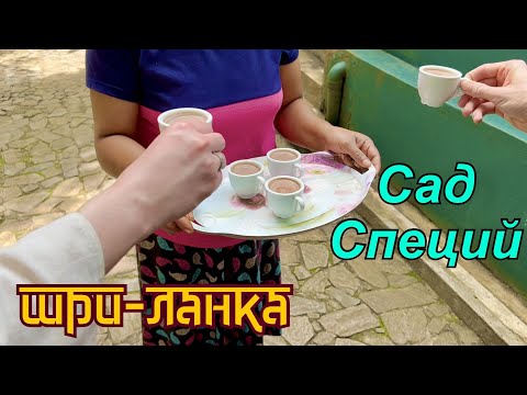 Видео: Шри-Ланка. Сад специй