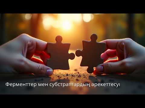 Видео: Фермент пен субстраттың өзара әрекеттесуі. Фишердің теориясы. Ферменттердің иммобилизациясы