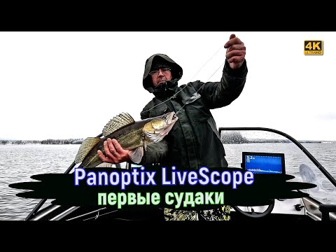 Видео: Ловля судака поздней осенью 2024. Десногорское водохранилище
