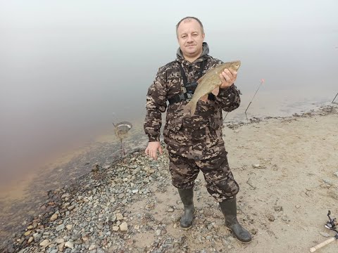 Видео: Рыбалка, ЯНАО, Тарко-Сале, река Айваседапур  сентябрь 2023