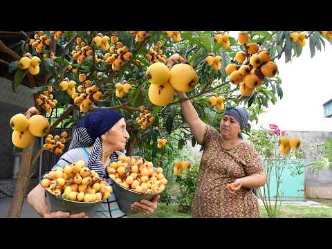 Видео: Урожай золотой мушмулы! Приготовление натурального и вкусного фруктового сока