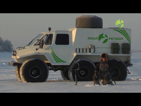 Видео: "На Ямале щук немало". С полем!
