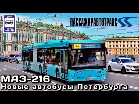 Видео: 🇷🇺🇧🇾«МАЗ-216». Новые автобусы Санкт-Петербурга | «MAZ-216». New buses in St. Petersburg
