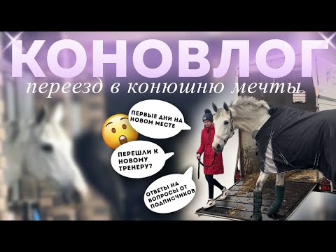 Видео: КОНОВЛОГ: переехали в КОНЮШНЮ МЕЧТЫ 🦄💭