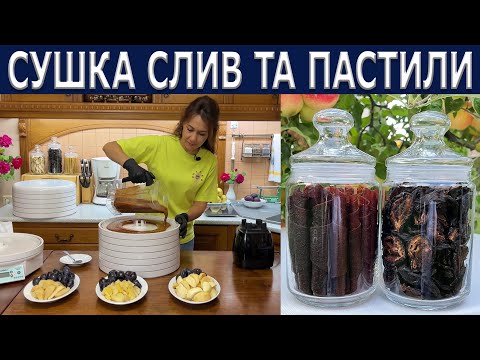 Видео: Сушка слив та пастили