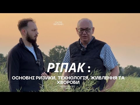 Видео: РІПАК - ризики, технологія, живлення та хвороби.