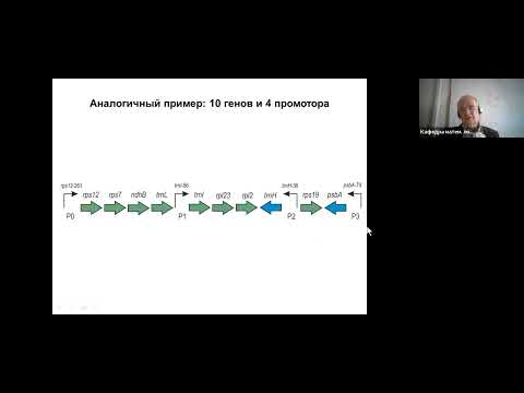 Видео: Современная теория множеств, дискретная оптимизация, математическая биология. Лекция 9 (25.3.2024)