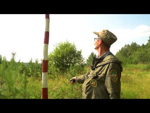 Видео: Висимский заповедник, док. фильм