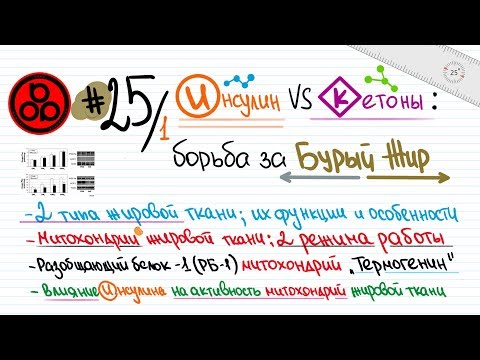 Видео: #25/1 Инсулин и кетоны: битва за бурый жир