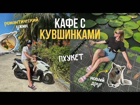 Видео: ПХУКЕТ: Кафе с КУВШИНКАМИ - Ma Doo Bua! Романтический ужин на пляже | VLOG