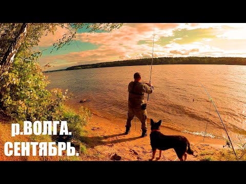 Видео: Рыбалка на Волге.  3 Дня на Реке. Поехали с Больничкой на Волгу за Лещом и от Волги "Леща" получили.