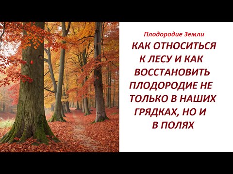 Видео: Можно брать органику из леса или нет №670/24