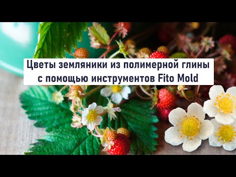 Видео: Цветы земляники из полимерной глины с помощью инструментов  Fito Mold