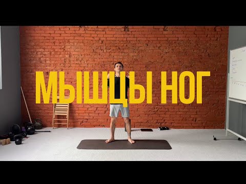 Видео:  Тренировка мышц ног (демо 13 минут)