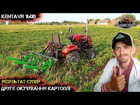 Видео: Останнє окучування картоплі перед цвітінням. Результат супер👍🏻 Врожаю бути!😁