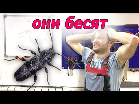 Видео: Ремонт лобового стекла от А до Я, автостекло, трещина, скол, полимеры купить