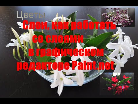 Видео: Что такое слои? Как работать со слоями в графическом редакторе Paint.net