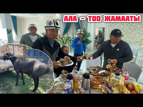Видео: НООКАТТЫН СЫЙЫ БОЛДУ АЛА-ТОО ЖАМААТЫНА