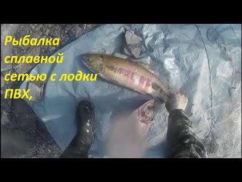 Видео: Рыбалка сплавной сетью, с лодки ПВХ, китайской сетью
