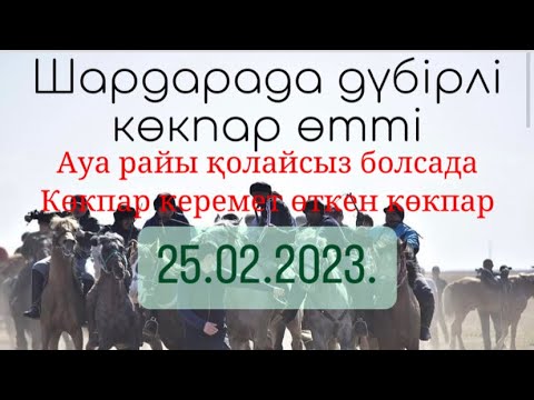Видео: Қонаровтар әулеті Алтынбек қажы ағамыздың елден бата алу той көкпары 25 02 2024