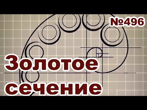 Видео: Золотое сечение в самозащите.