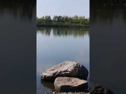 Видео: 15 сентября 2025 г.