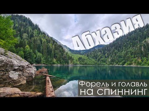 Видео: Рыбалка в очень красивых местах🎣 Arion 702ULS и стримовая ловля