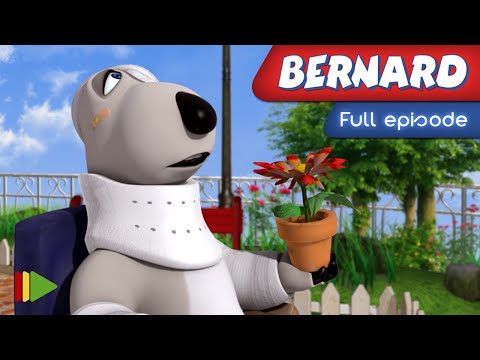 Видео: Бернард - 27 - Цветок