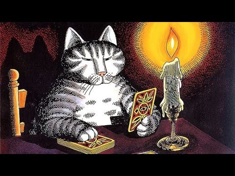 Видео: Подборка таро с кошками